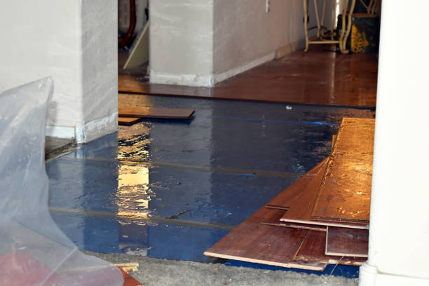 Professional Basement Flood Cleanup technician working in Cordova, TN
